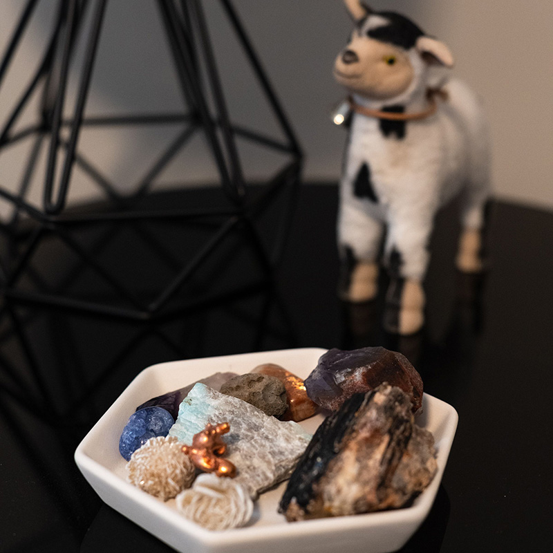 Cow and stones in therapy office of April Rowe, LCSW, counseling in South Bend